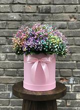 Цветочная композиция из Гипсофила и Розы в шляпной коробке в Алферьево