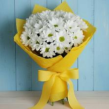Букет цветов из:  Хризантемы в Алферьево