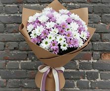 Букет цветов из:  Хризантемы в Алферьево