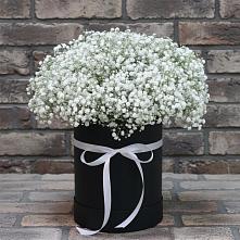 Цветочная композиция из Гипсофила в шляпной коробке #REPLACE_PRED# Алферьево