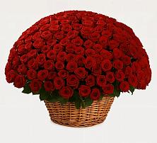 Премиум букет из: Розы в Алферьево