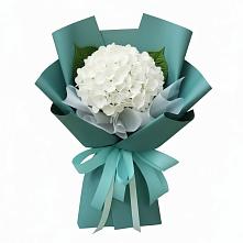Букет цветов из:  Гортензия в Алферьево